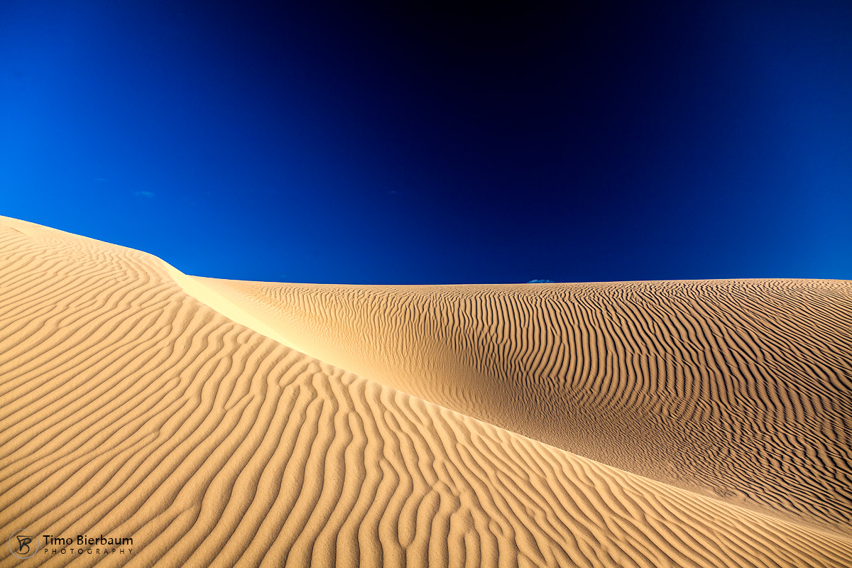 Dune Travel