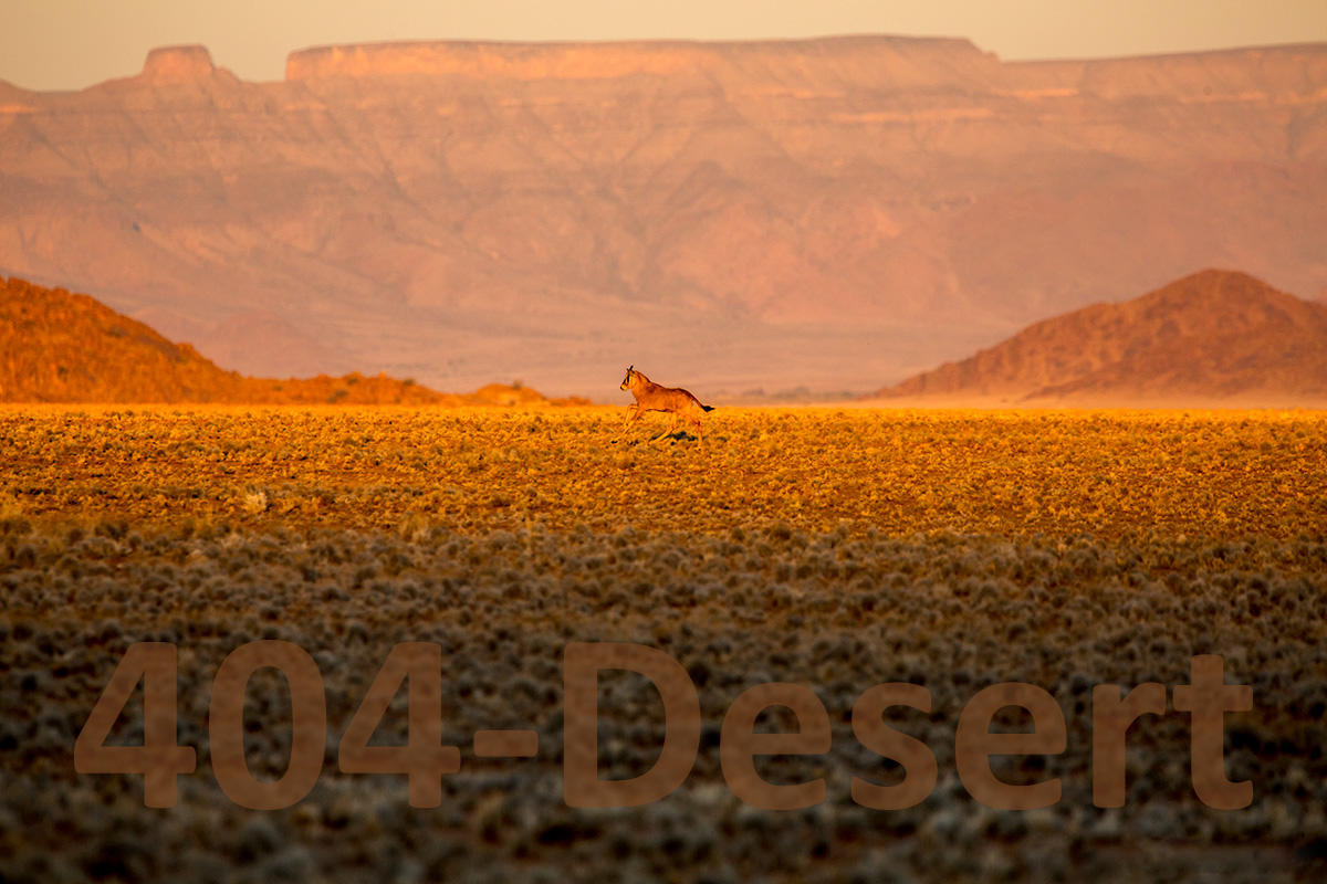 404Desert_8101 TBP - 404e